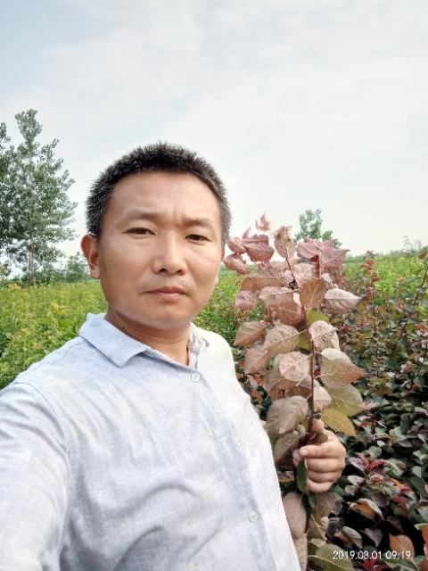 孩子爸的第二张照片--宿州相亲服务中心