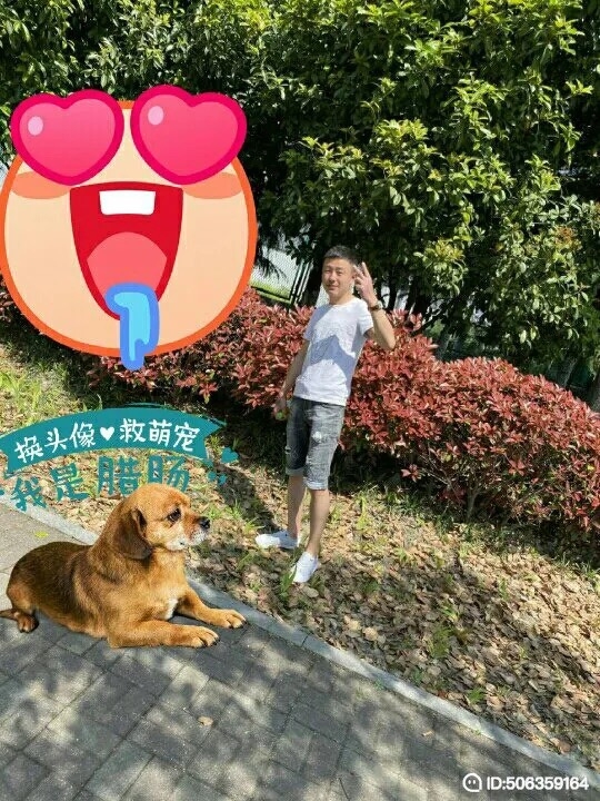 我若不坚强谁替我勇敢的第一张照片--宿州相亲服务中心