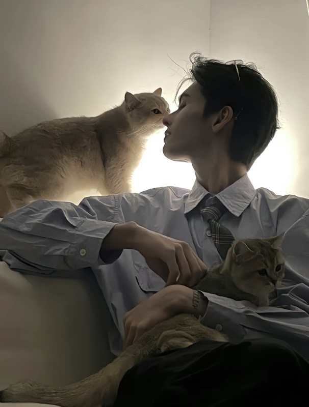 怪猫的第一张照片--宿州相亲服务中心