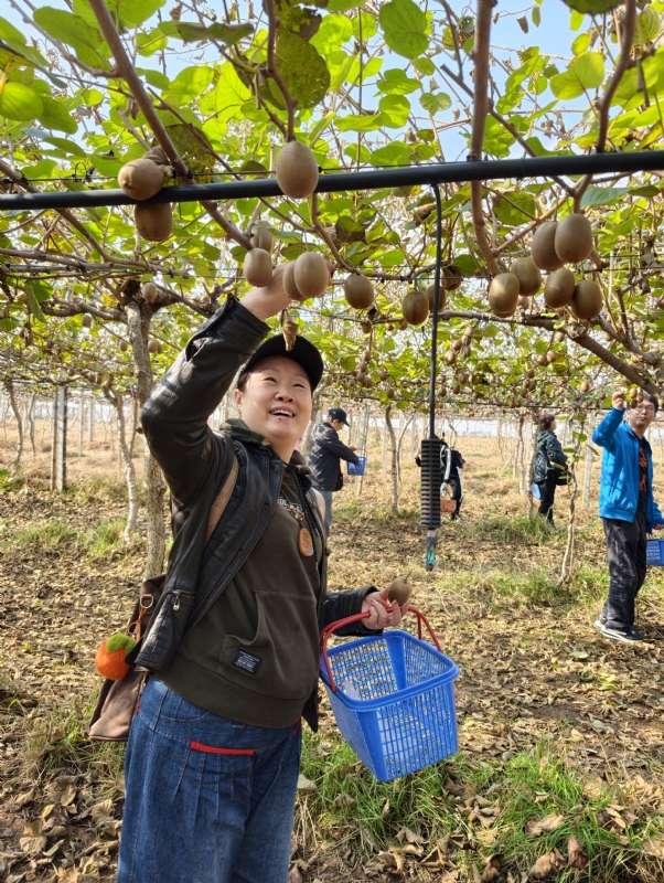 夜莺的第三张照片--宿州相亲服务中心